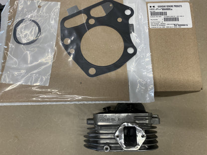 Genuine Kawasaki OEM Cylinder Head Kit #1 ; FR/FS/FX 481V 541V 600V  99999-0630